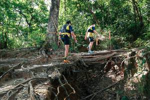 BIB: 
                            <button type="button" onclick="openModal(27799942)" class="btn btn-primary btn-sm float-right btn-popup" data-toggle="modal" data-target=".modal-high-quality">
                        <i class="fas fa-shopping-cart"></i> Add to Cart
                    </button>
                                            <button type="button" onclick="isThisMe(27799942, true)" class="btn btn-success btn-sm float-right btn-popup btn-isme hidden" data-toggle="tooltip" data-placement="bottom" title="นี่คือรูปของคุณใช่ไหม คลิกที่นี่เพื่อเอาเข้าอัลบั้ม">
                        <i class="fas fa-plus"></i> Add to album
                    </button>
                    <button type="button" onclick="isThisMe(27799942, false)" class="btn btn-warning btn-sm float-right btn-popup btn-isnotme hidden">
                        <i class="fas fa-ban"></i> Remove from album
                    </button>